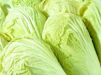 Chinese cabbage