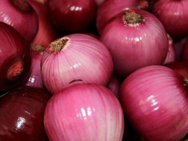 onion