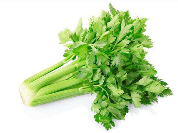 Celery